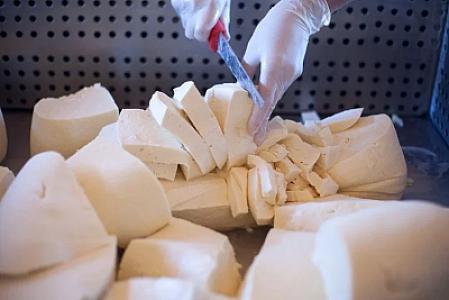 Alimlər pendirlə bağlı xəbərdarlıq edir: