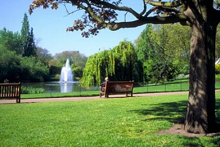 Bakıda bu ərazidə böyük park salınacaq -