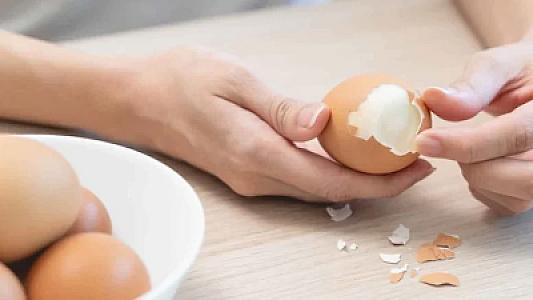 Fransız həkimi yumurta ilə bağlı mifə son qoydu: