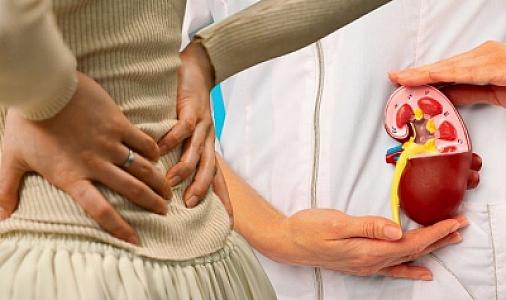 Zövqlə yeyirik, amma böyrəkləri