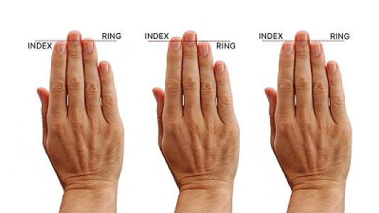 Barmaqların uzunluğu ilə alkoqolizmə