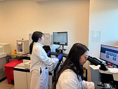 Stanford alimlərindən xroniki ağrılara qarşı