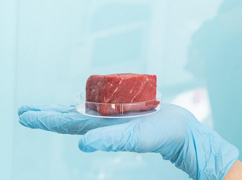 Laboratoriyada yetişdirilən ət “halal” sayılacaq? -