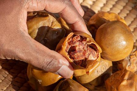 Gündə 7 ədəd yemək