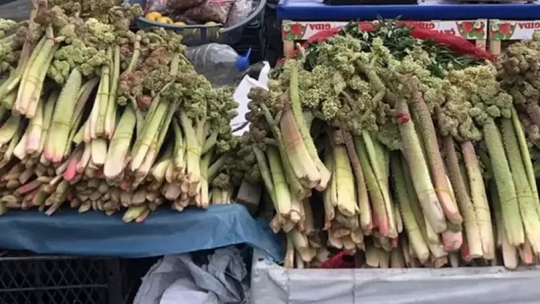 Xərçəngin müalicəsində yeni bitki -