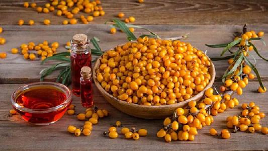 Qədimlər bu meyvənin qədrini çox gözəl bilirdi: