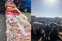 Bərdədə heyvan satışı bazarında